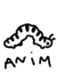 anim